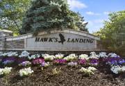 hawks-landing