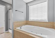 primary-bath-tub-shower